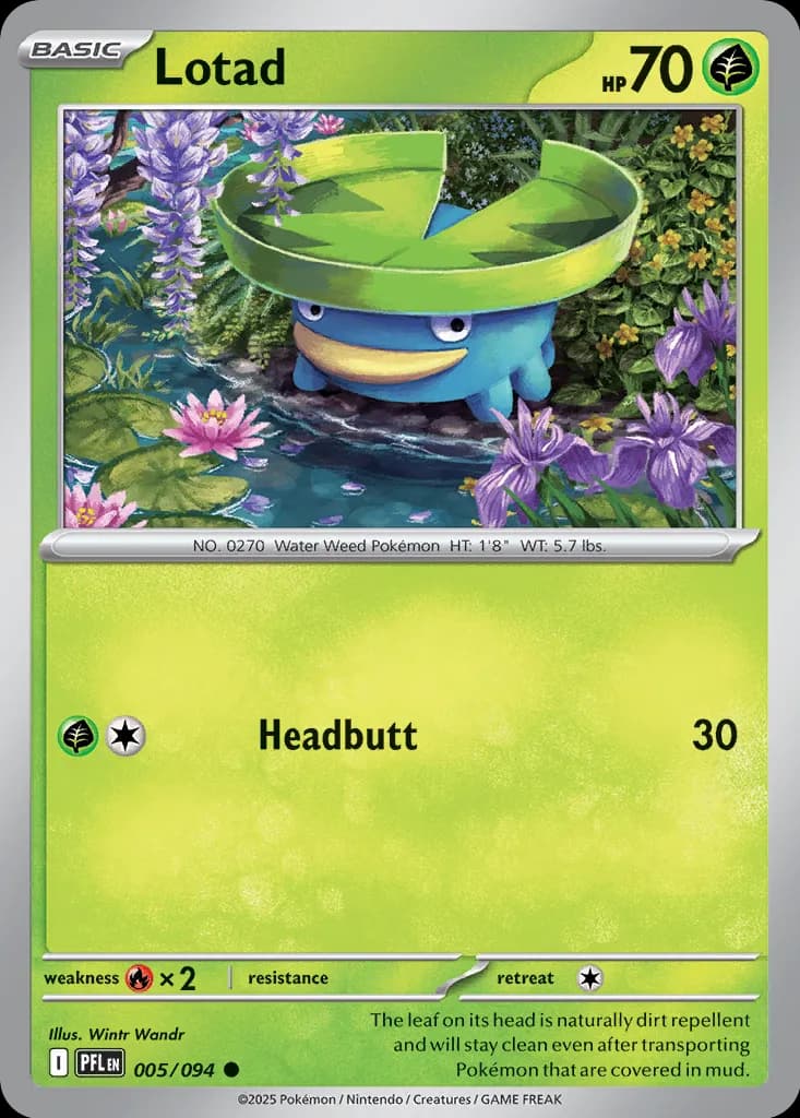 Lotad 005 Normal
