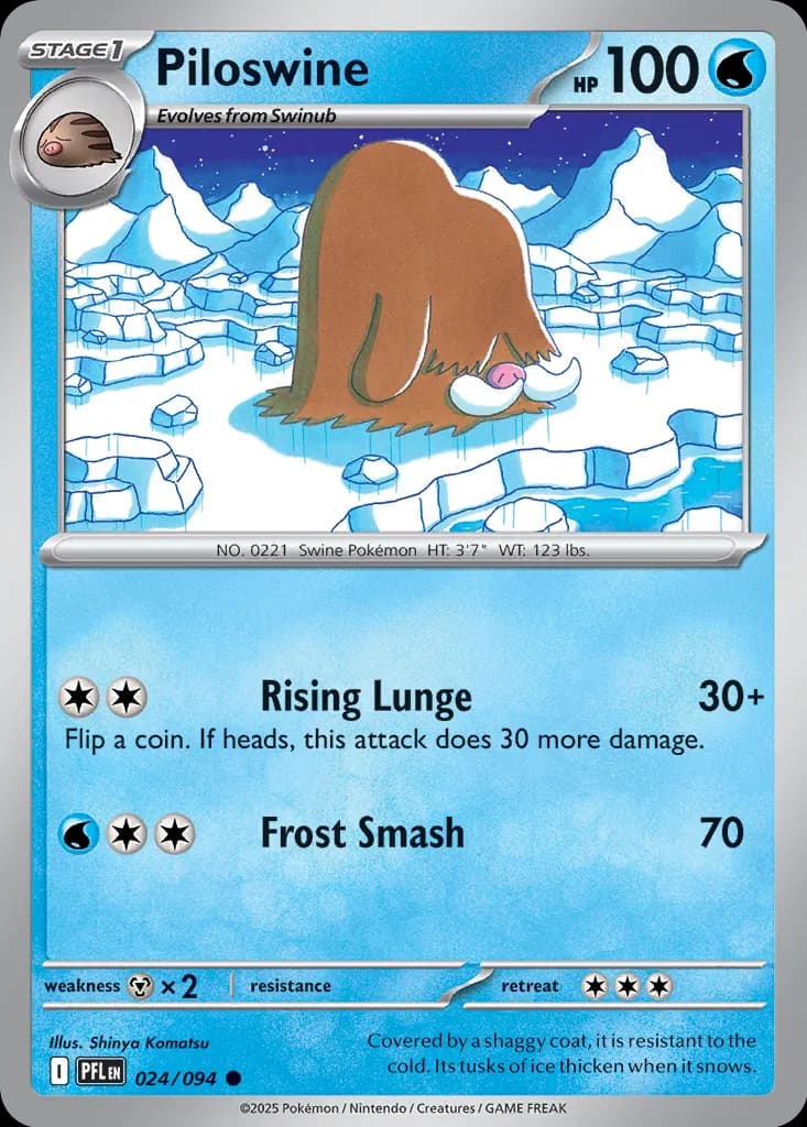 Piloswine 024 Normal