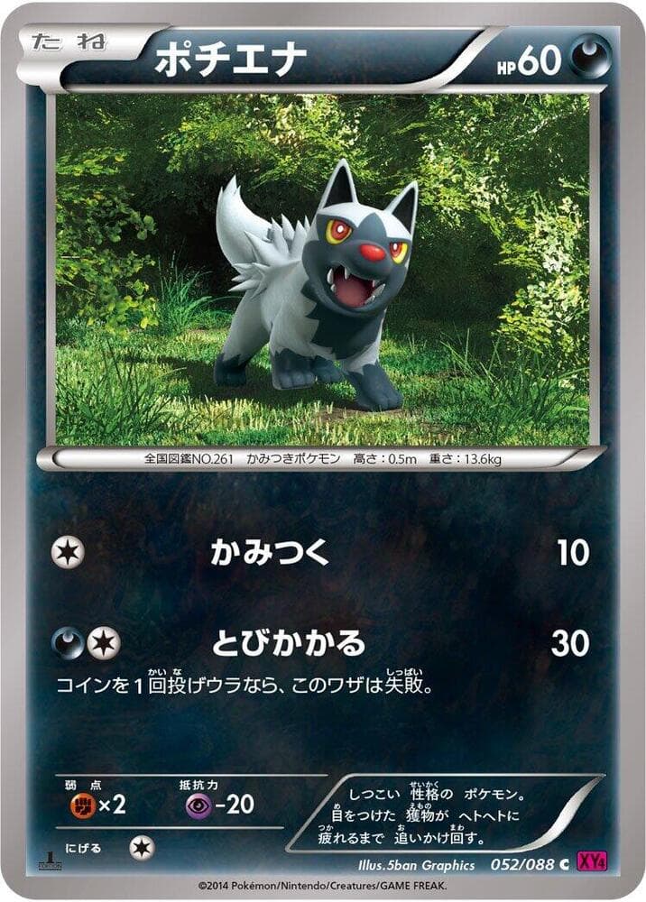 Poochyena 52 Unlimited