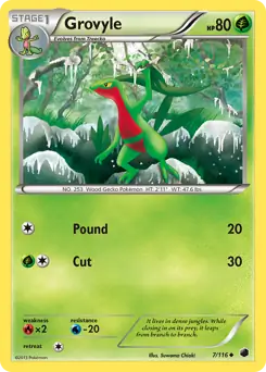 Grovyle 7 Normal