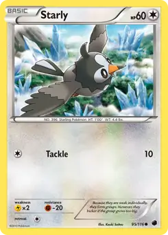 Starly 95 Normal