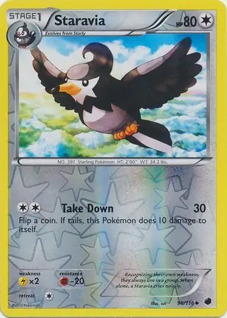 Staravia Reverse Holo 96 Normal