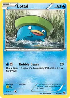Lotad 29