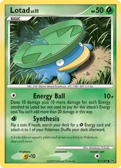 Lotad 81 Normal