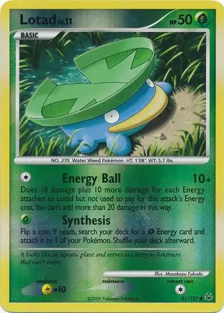 Lotad Reverse Holo 81 Normal
