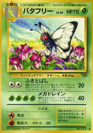 Butterfree 012