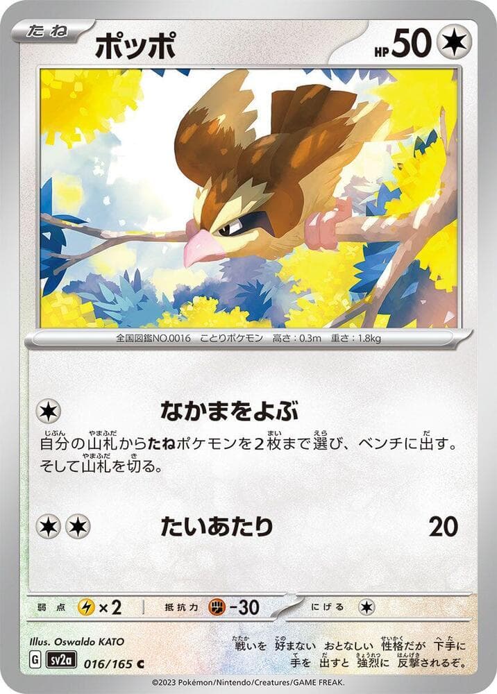 Pidgey 016