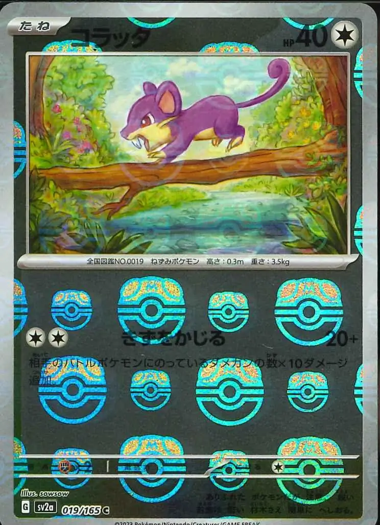 Rattata Master Ball Holo 019 Normal