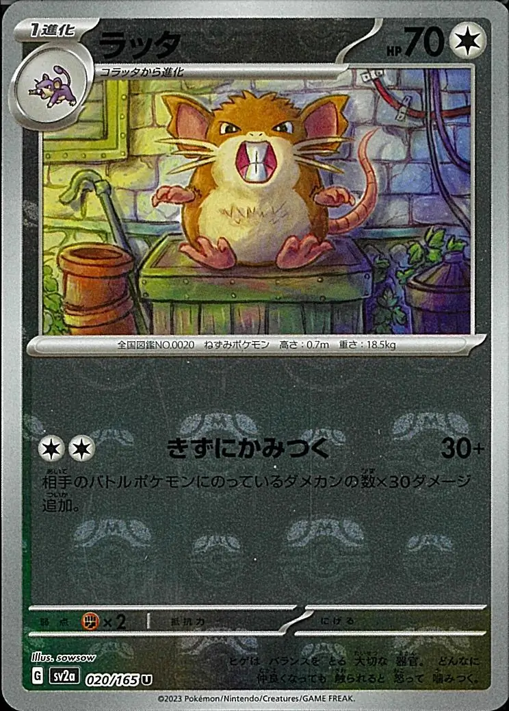 Raticate Master Ball Holo 020