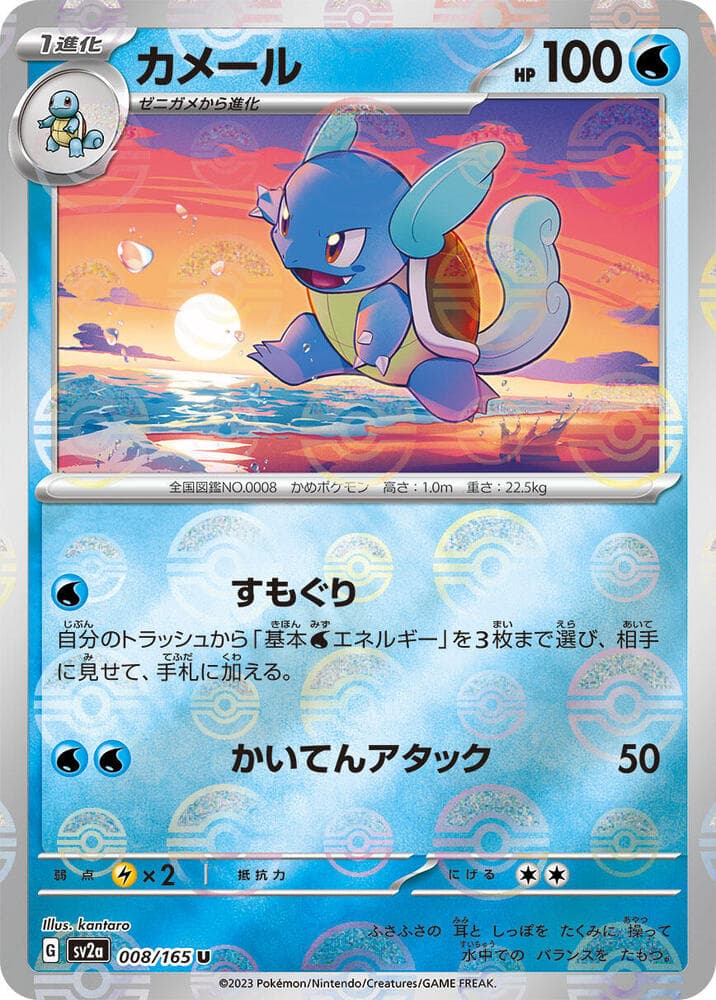 Wartortle 8 Holo