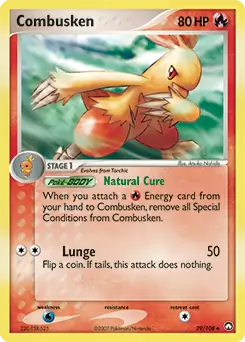 Combusken 29 Normal