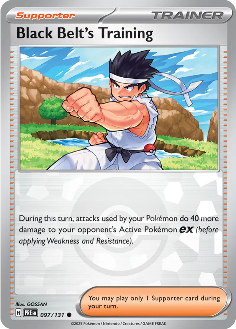 Black Belt's Training Poke ball Holo 97 Normal