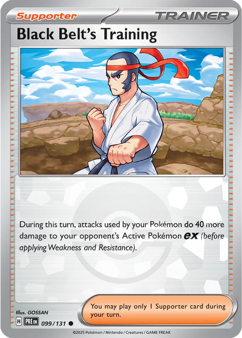 Black Belt's Training Poke ball Holo 99 Normal