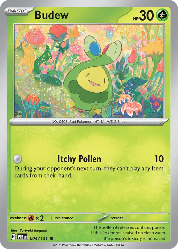 Budew 004 Normal