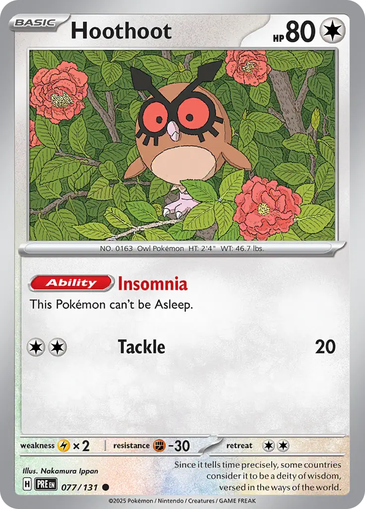 Hoothoot 077 Normal