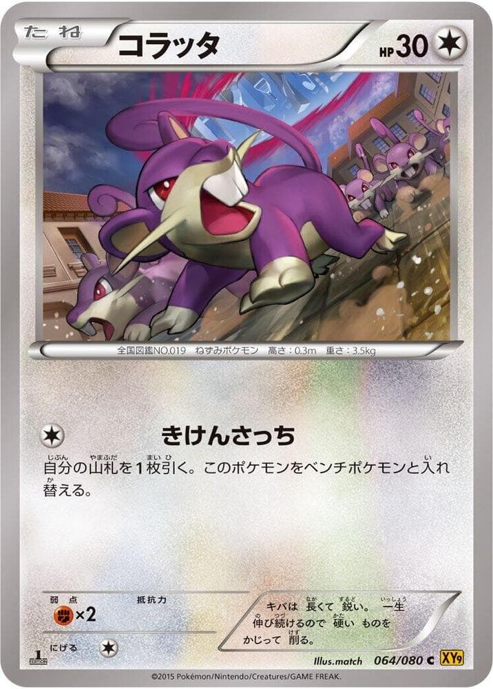 Rattata 064