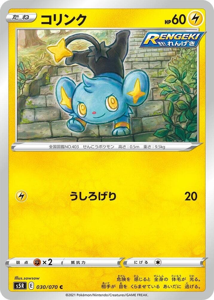 Shinx 030