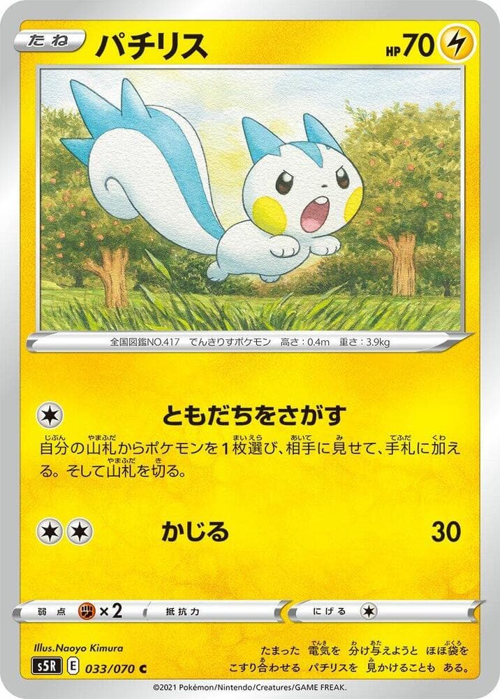 Pachirisu 033