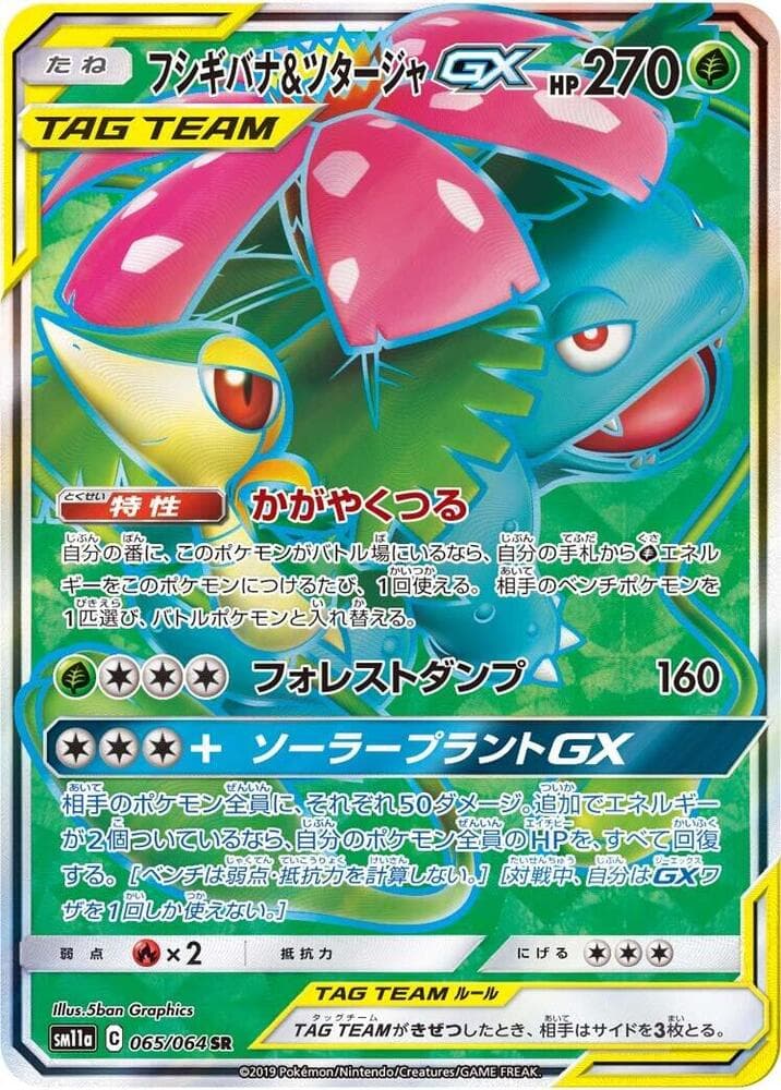 Venusaur & Snivy GX 065 Normal