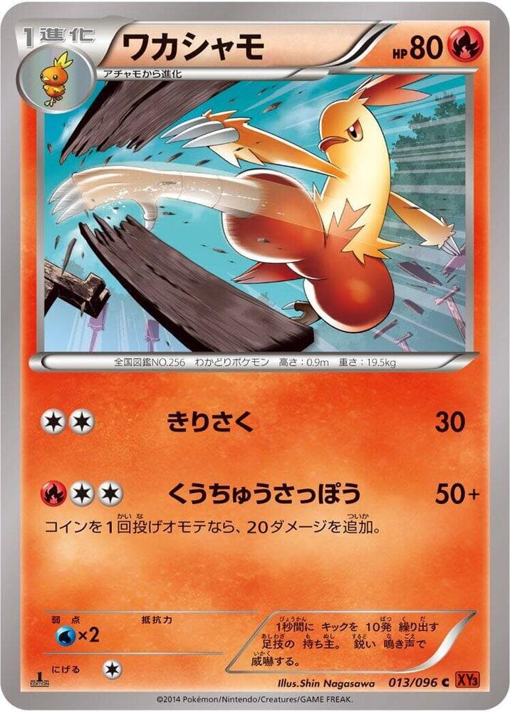 Combusken 013