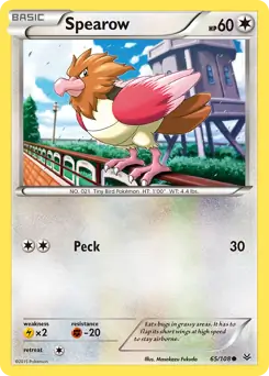 Spearow 65 Normal