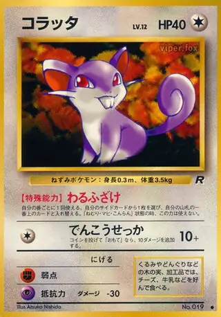 Rattata 019