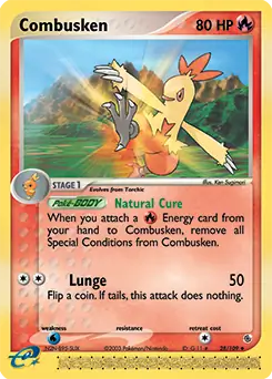 Combusken 28