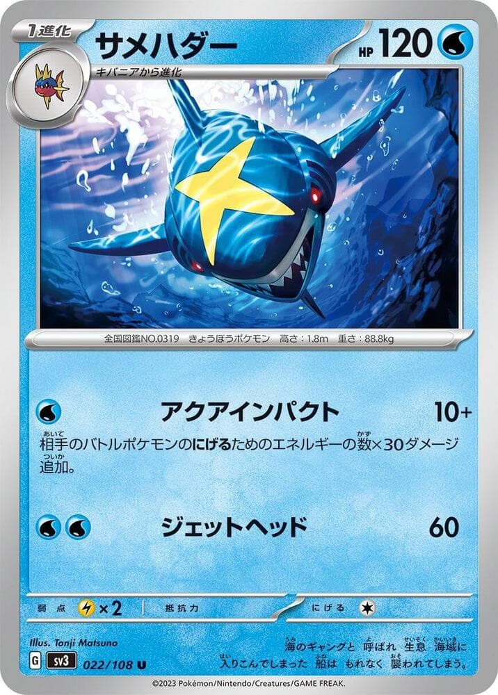 Sharpedo 022