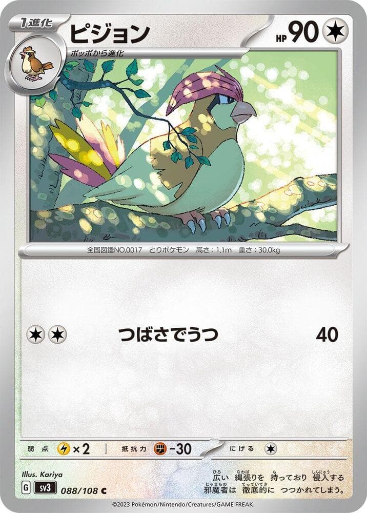Pidgeotto 088