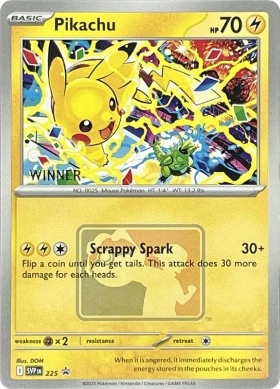 Pikachu World Championship 2025 Winner 225