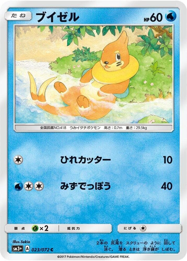 Buizel 023 Normal