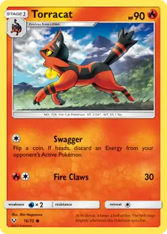 Torracat 16 Normal