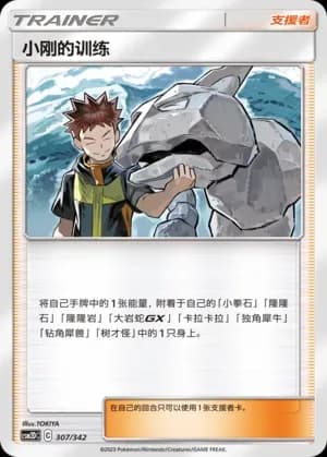Brock's Training 307 Normal