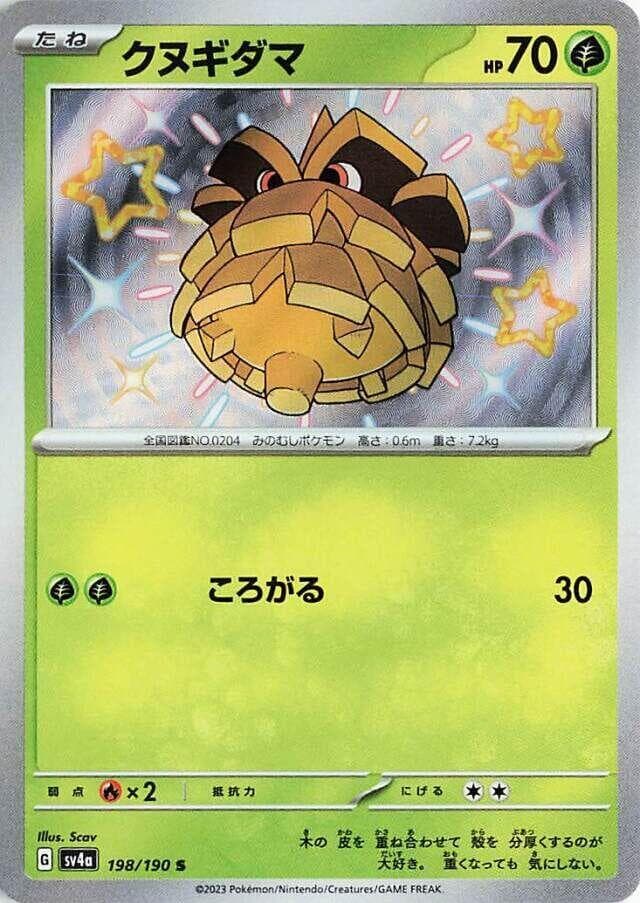 Pineco 198