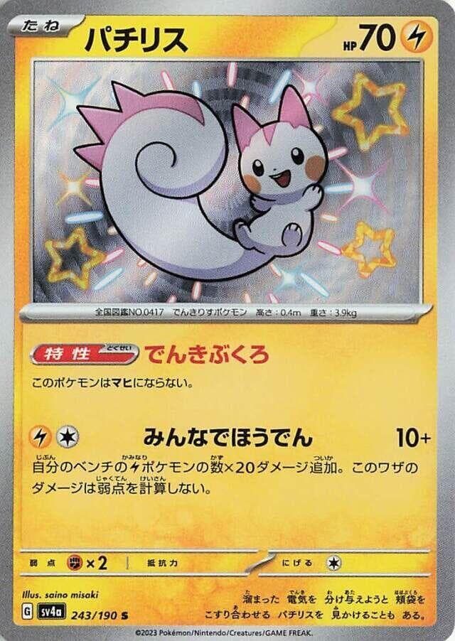 Pachirisu 243 Normal