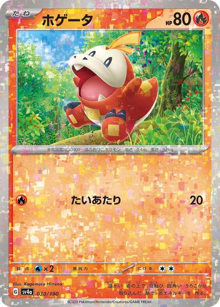 Fuecoco 30 Holo