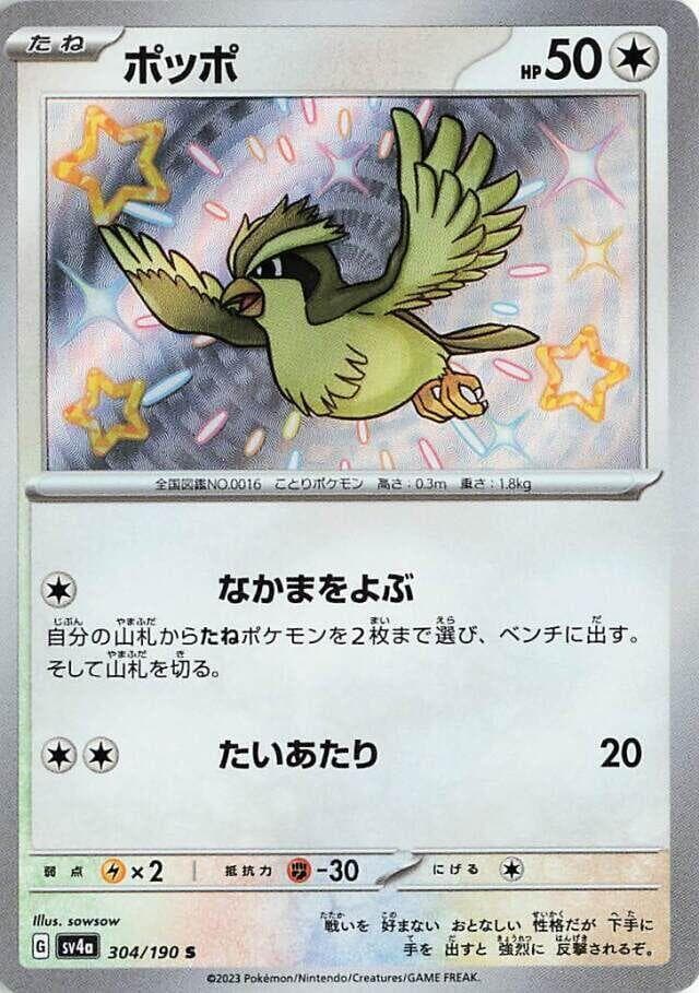 Pidgey 304 Normal