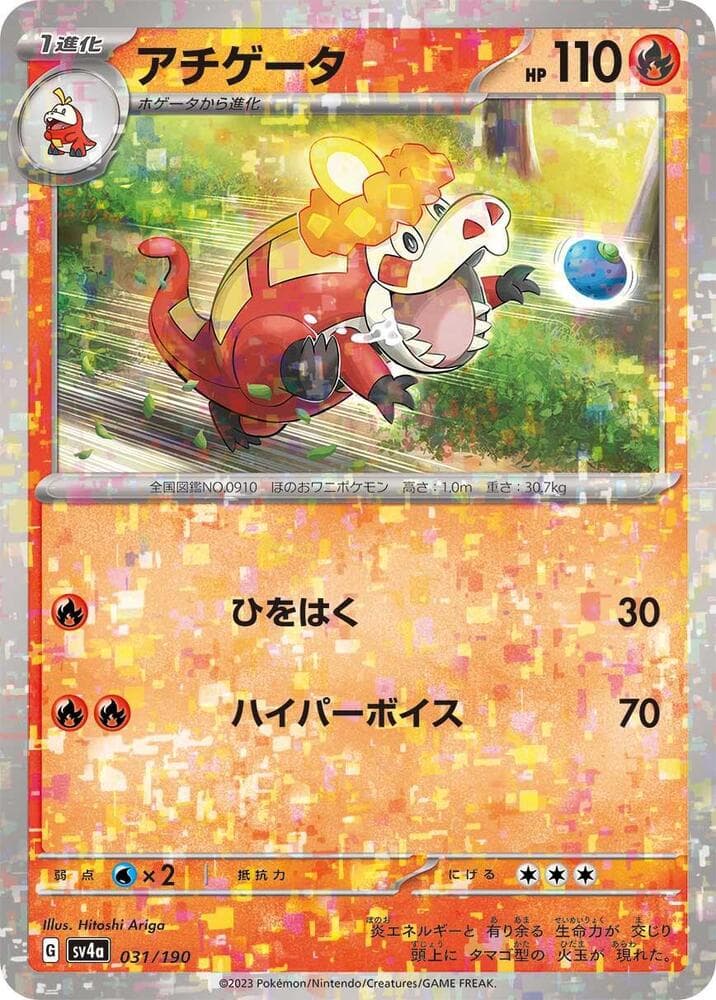 Crocalor 31 Holo