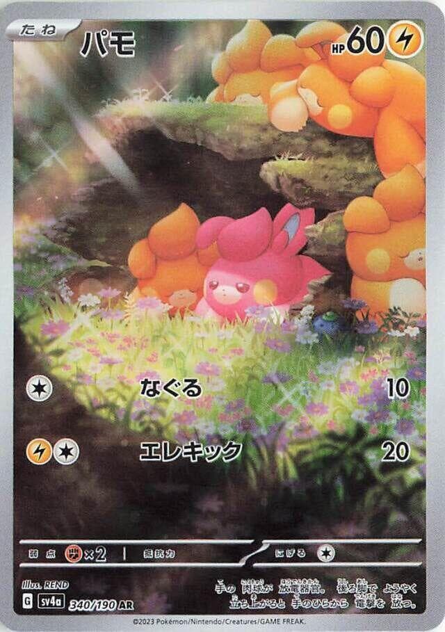 Pawmi 340 Normal