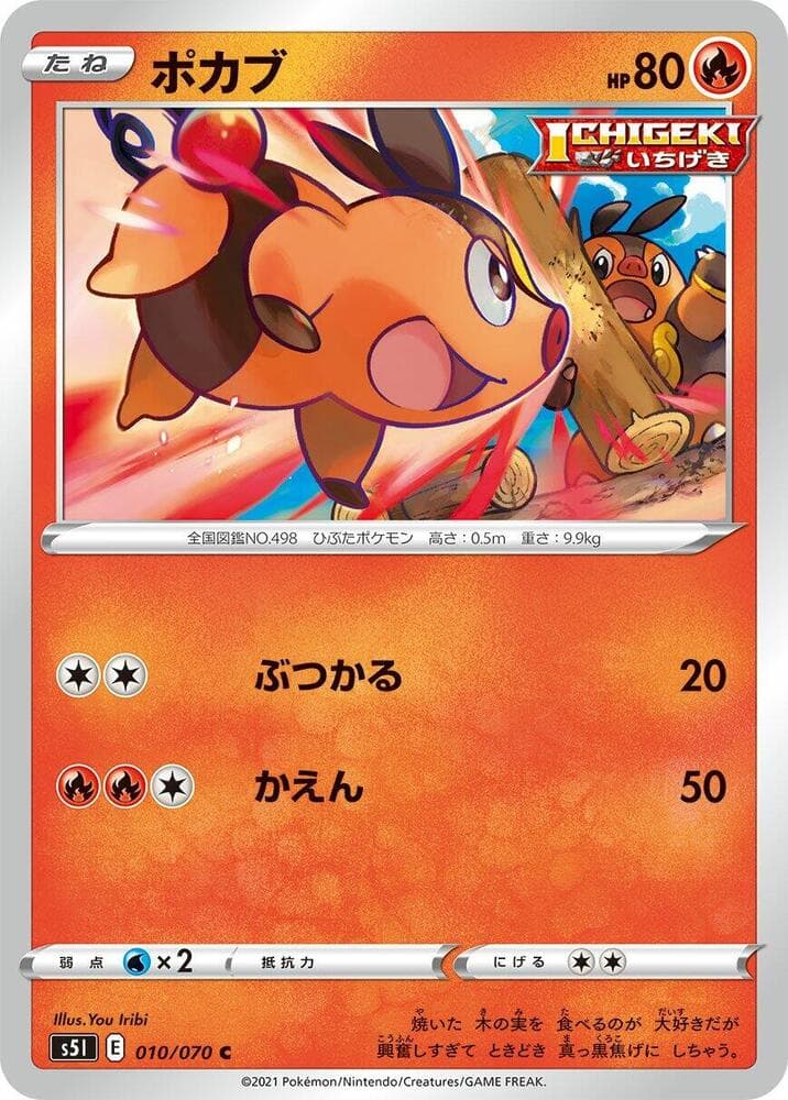 Tepig 010 Normal