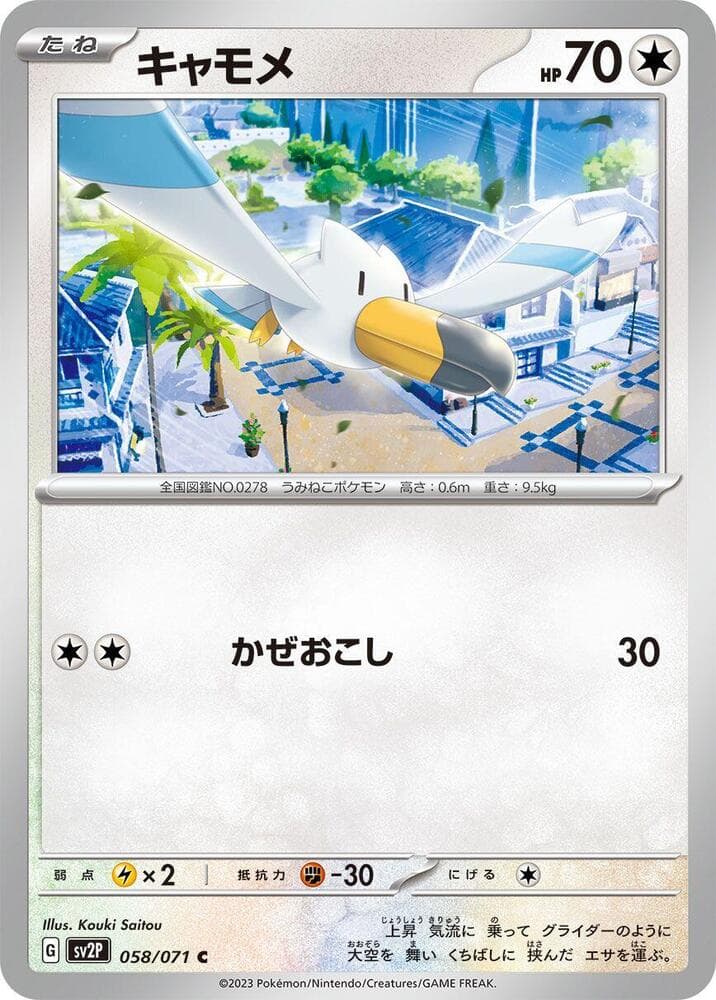 Wingull 058
