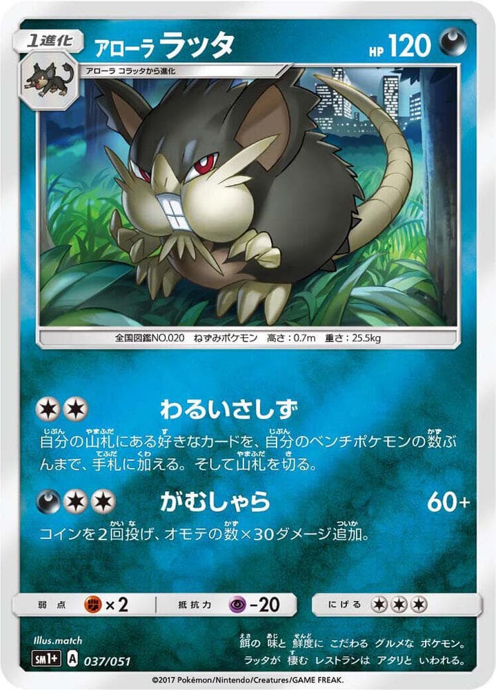 Alolan Raticate 037