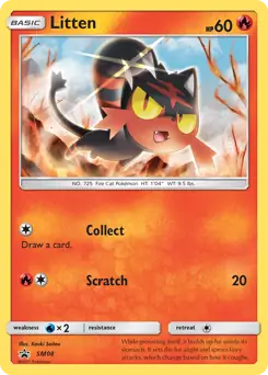 Litten SM08