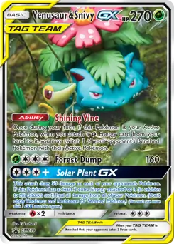 Venusaur & Snivy GX SM229 Normal