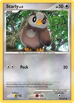 Starly 129 Normal