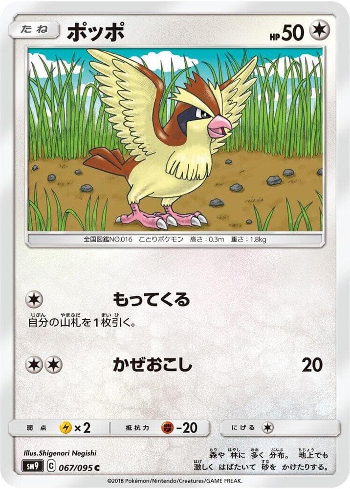 Pidgey 067