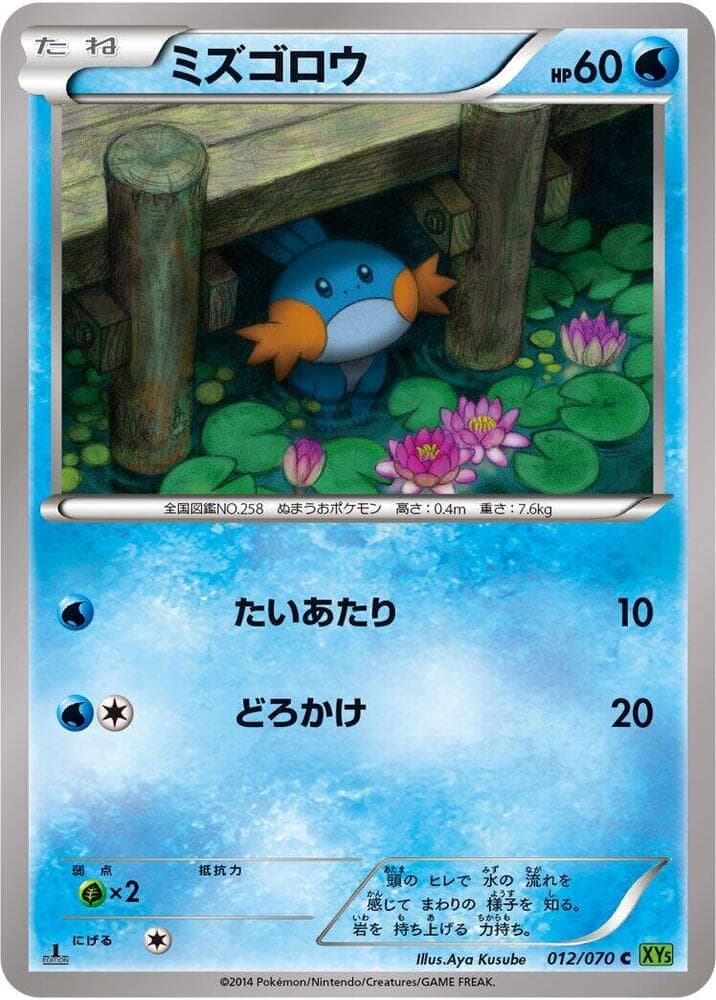 Mudkip 012