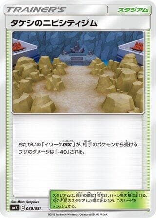 Brock's Pewter City Gym 030 Normal