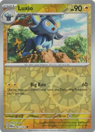 Luxio Reverse Holo 067 Normal
