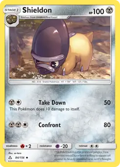 Shieldon 84